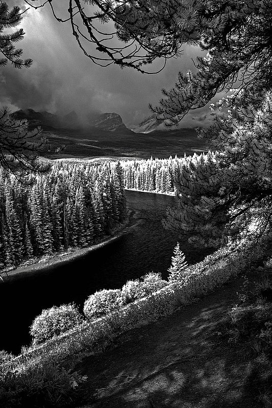 IR0178-80.jpg