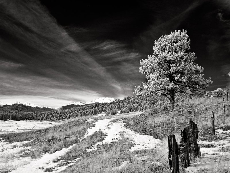 IR2769-Edit.jpg