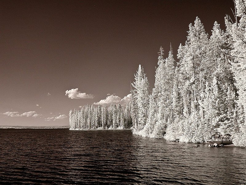 IR2842.jpg