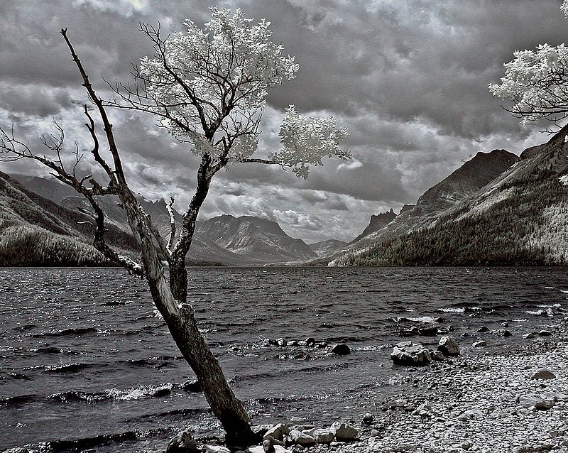 IR2974.jpg