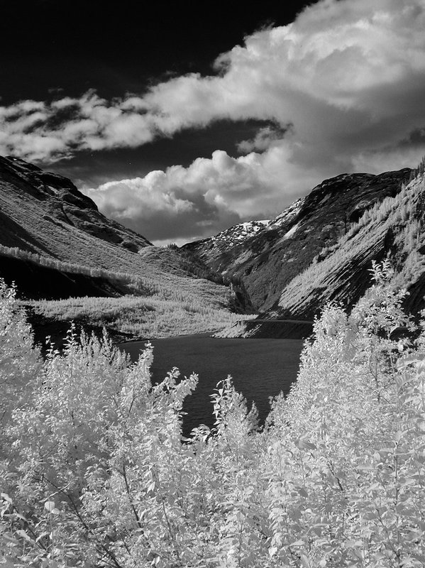 IR3158.jpg