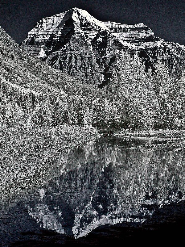 IR4060.jpg