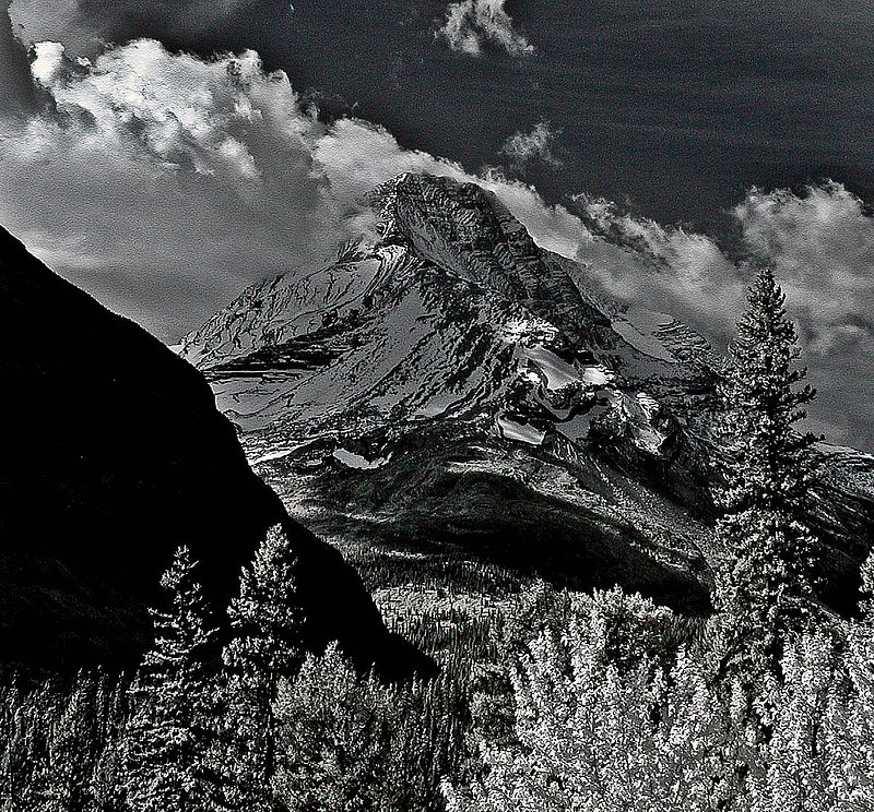 IR4284.jpg