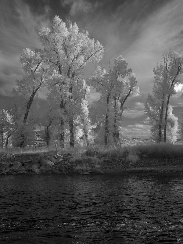 IR4400.jpg