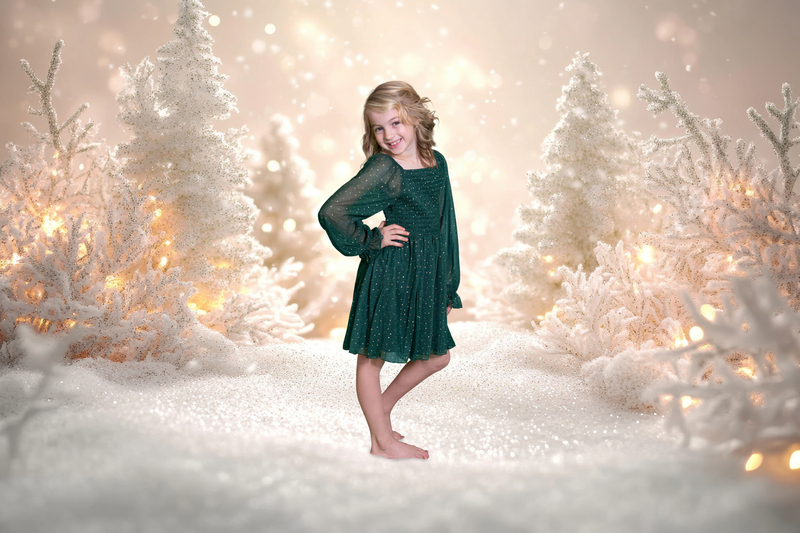 Harp1.jpg :: A soft snowy winter background with glittering elements will create a magical effect. light and bright. --ar 3:2 --style raw --sref https://s.mj.run/s_h_wJ1Wl1E --v 6.1 Job ID: 48f18641-6146-4b31-9274-1d5ea4dc37d2