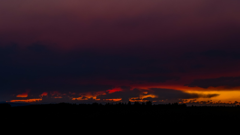 IMG_0098-2.jpg