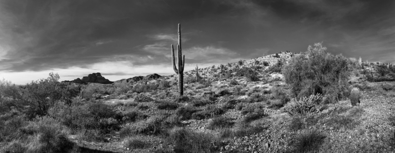 IMG_1947.jpg