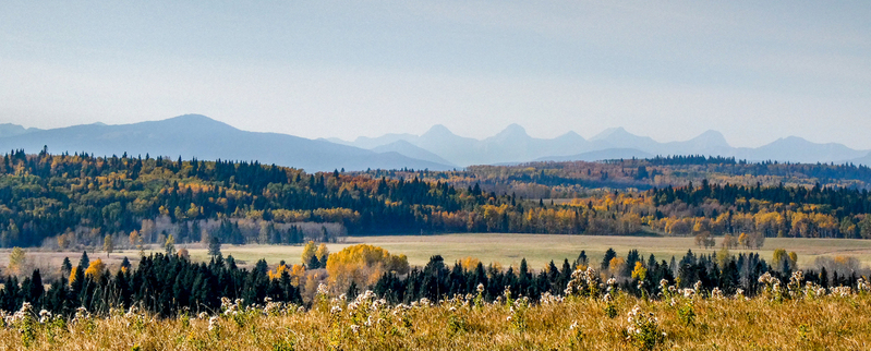 P1012804(1).jpg