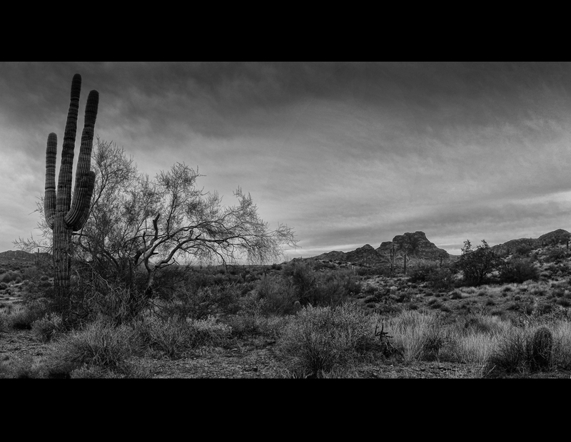 Untitled_Panorama1 HIGH STRUCTURE insta.jpg