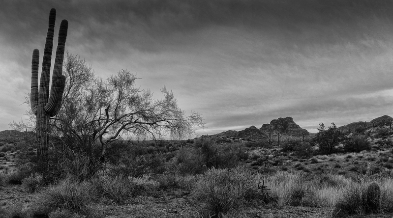 Untitled_Panorama1 HIGH STRUCTURE(2).jpg