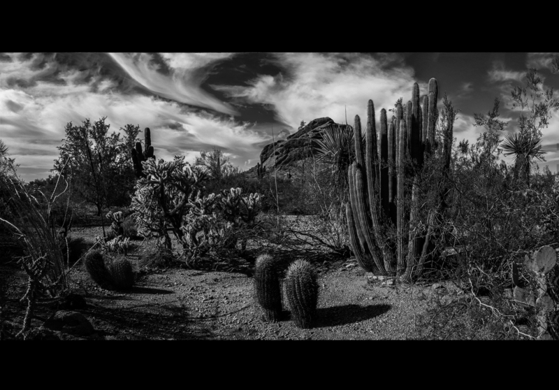 Untitled_Panorama1-2 yup bw instagram-2(1).jpg