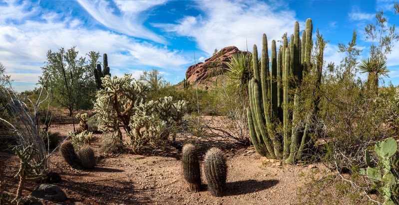 Untitled_Panorama1-2 yup(2).jpg