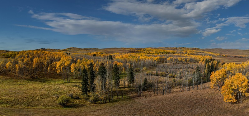 Untitled_Panorama1-2(2).jpg :: default