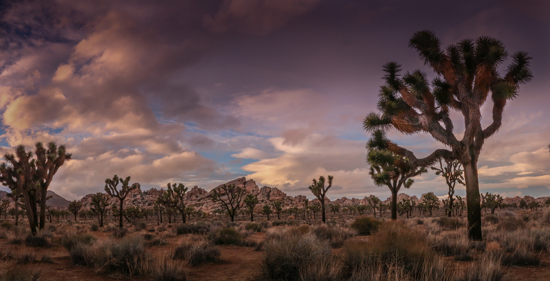 Untitled_Panorama1-3(1).jpg