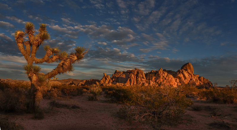 Untitled_Panorama2 j t(1).jpg