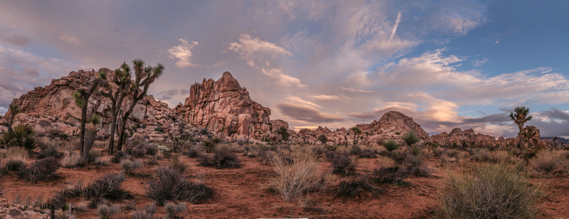 Untitled_Panorama2-3.jpg