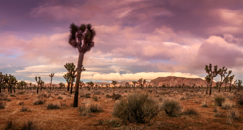 Untitled_Panorama3-2(1).jpg