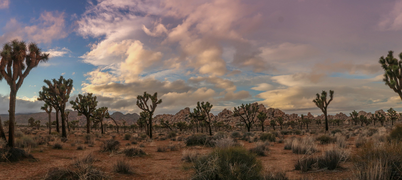 Untitled_Panorama3-4.jpg