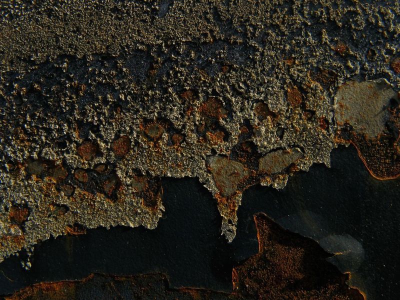 20080920-IMG_1541.jpg