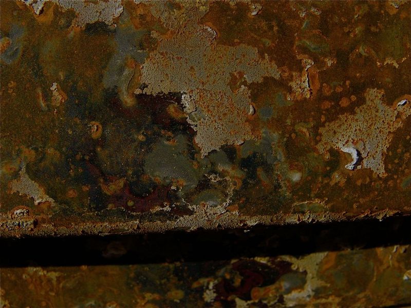 20080927-IMG_1667.jpg