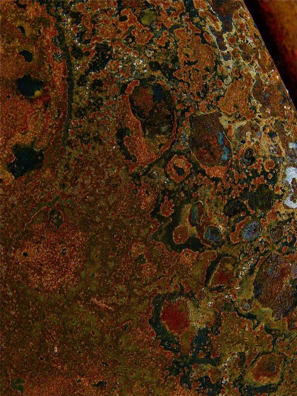 20080927-IMG_1716.jpg