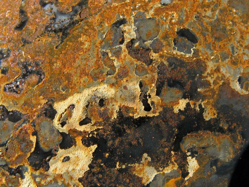 20080927-IMG_1729.jpg