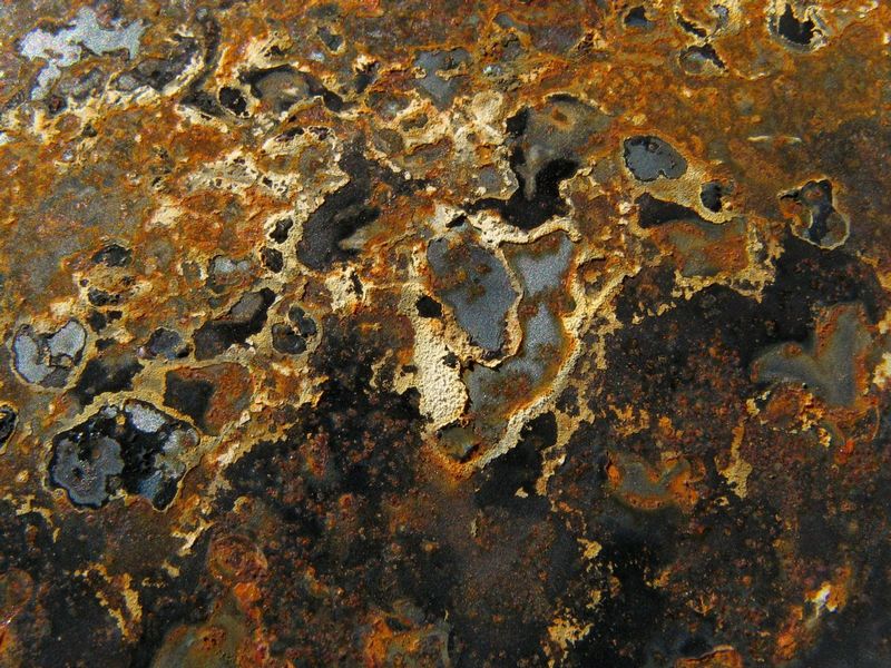20080927-IMG_1747.jpg