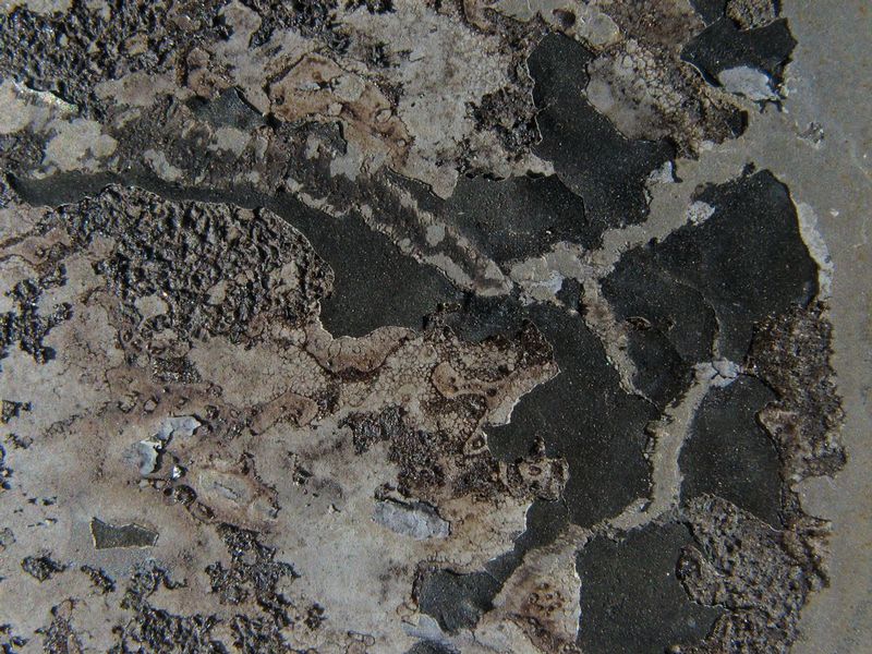 20080927-IMG_1838.jpg