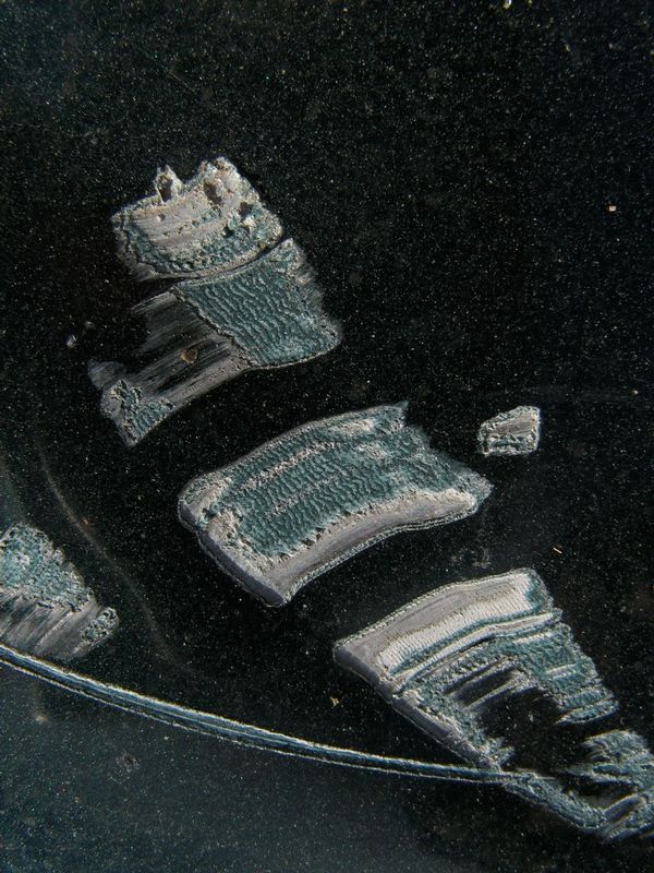 20080927-IMG_1839.jpg