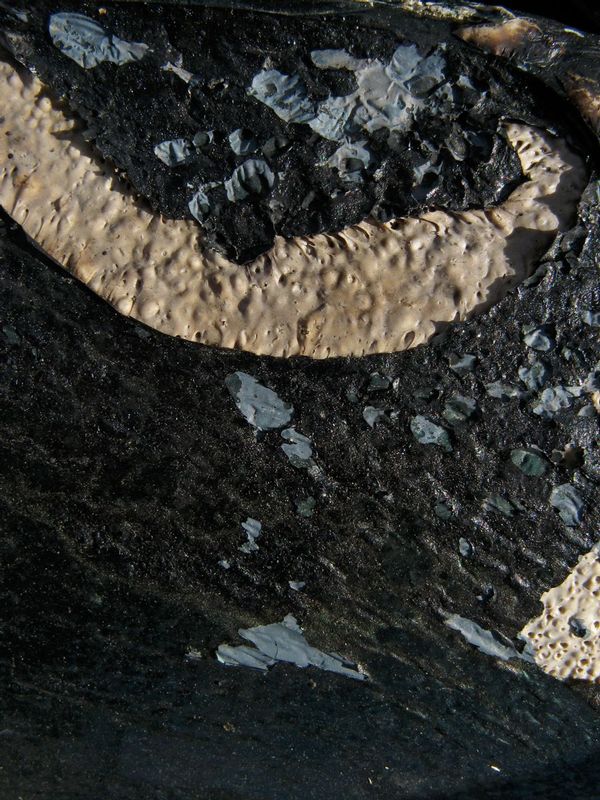 20080927-IMG_1845.jpg