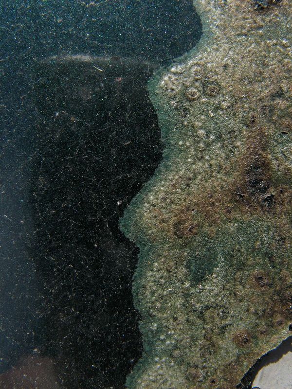 20080927-IMG_1856.jpg