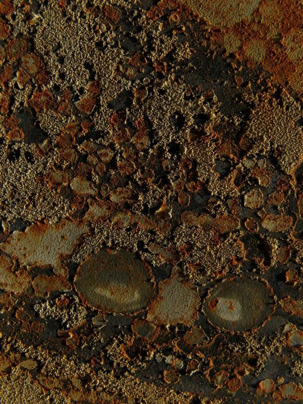 20080927-IMG_2102.jpg