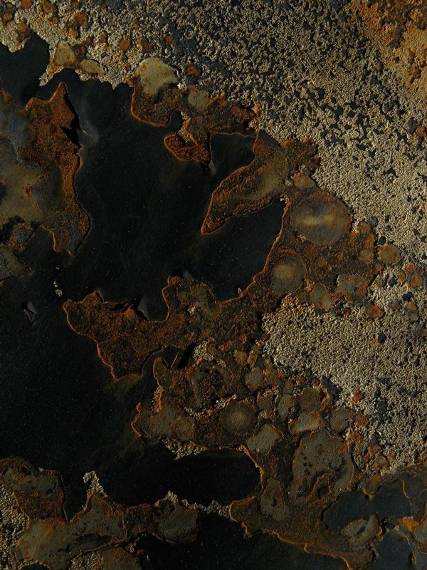20080927-IMG_2126.jpg