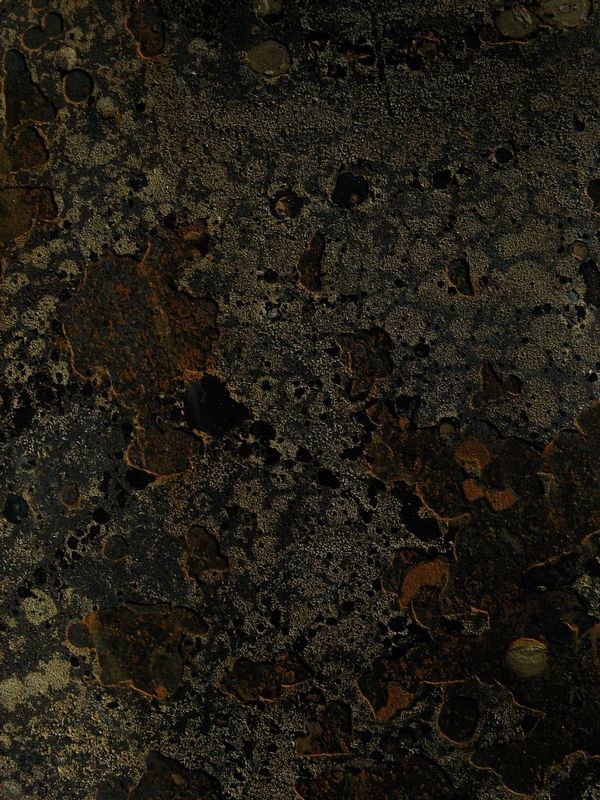 20080927-IMG_2220.jpg