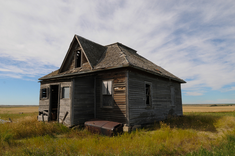 DSC_0984.jpg