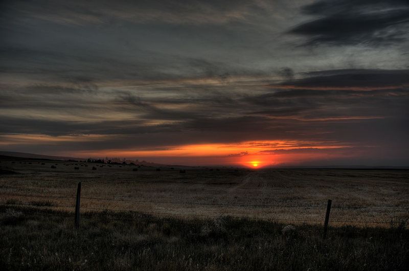 Orange Sun.jpg