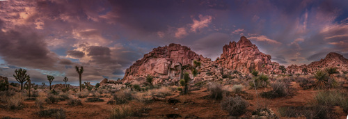 20_Burning Down the Sky.jpg