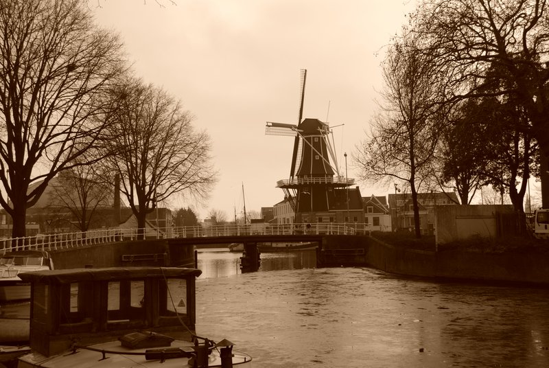 Amsterdam 11.jpg