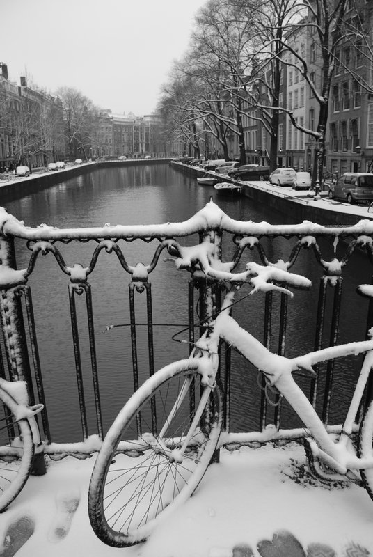 Amsterdam 12.jpg