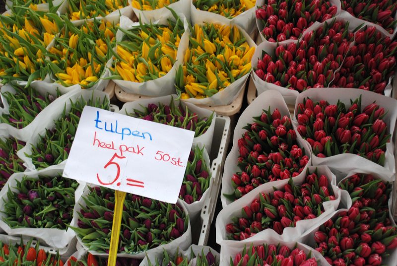 Amsterdam 14.jpg
