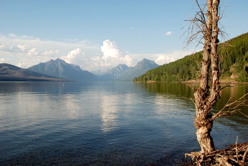 Montana 25.jpg :: Lake McDonald, MT 