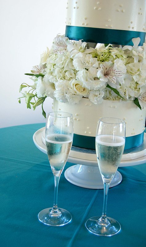 Stephanie and Justin 22.jpg