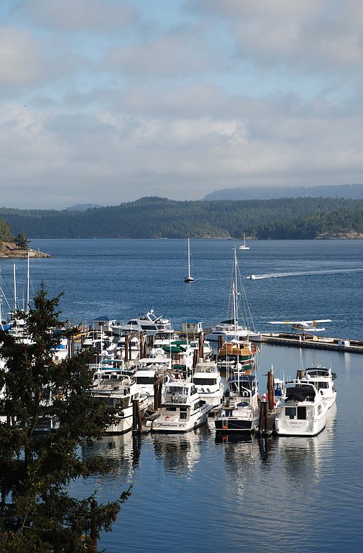 san juan island 01.jpg