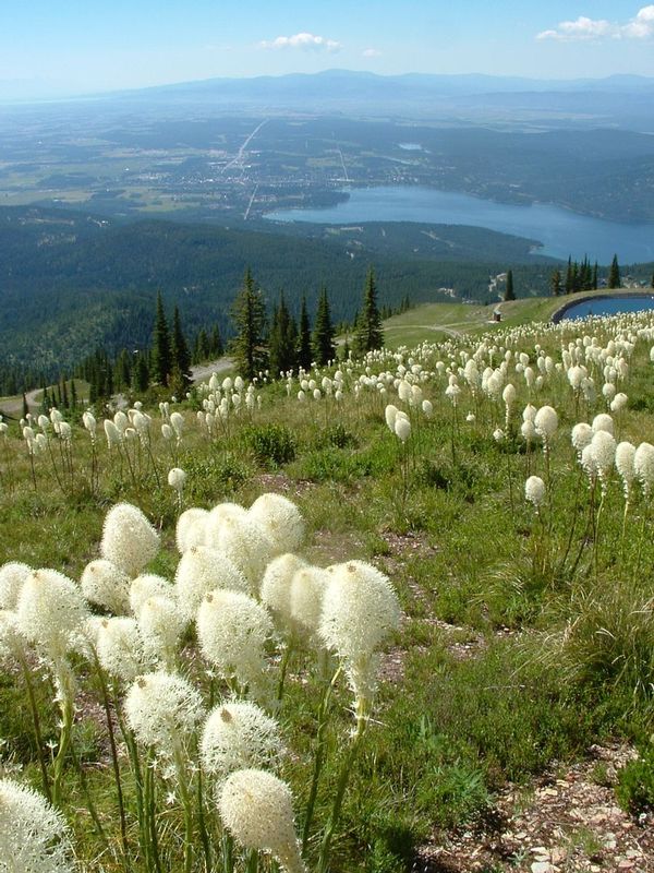 Montana 102.jpg