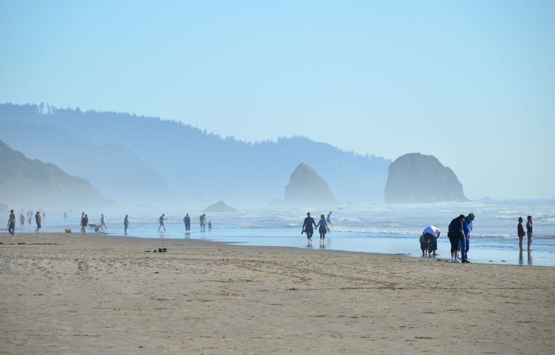 Oregon 25.jpg