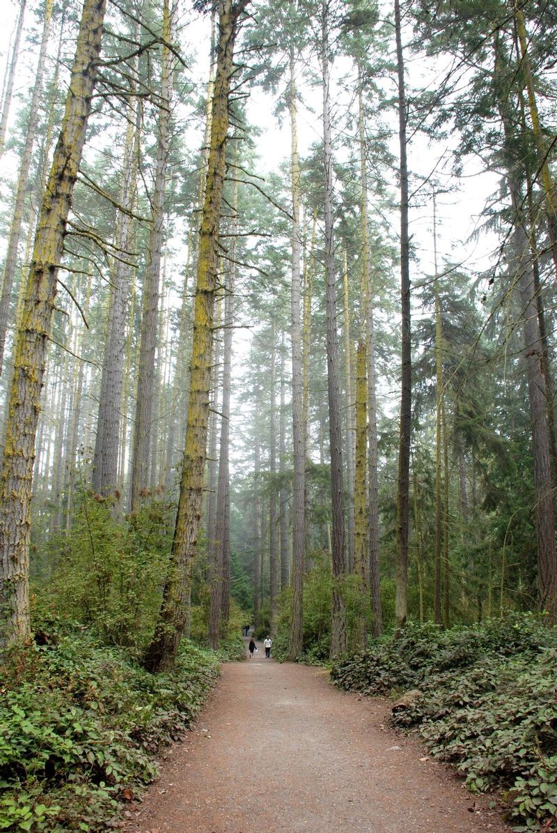 Sequim Washington 01.jpg