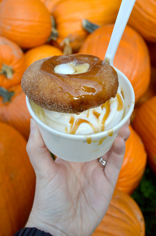 Bobs Corn and Pumpkin Farm 02.jpg