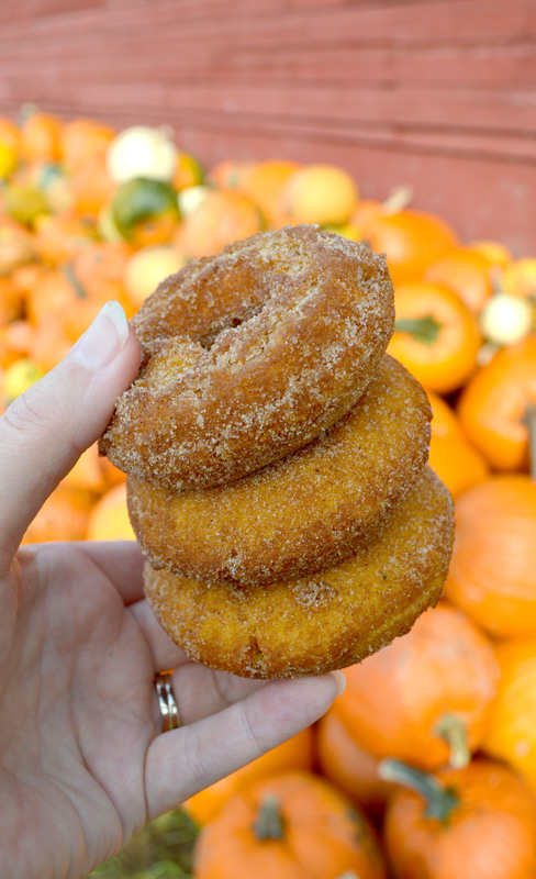 Bobs Corn and Pumpkin Farm 03.jpg