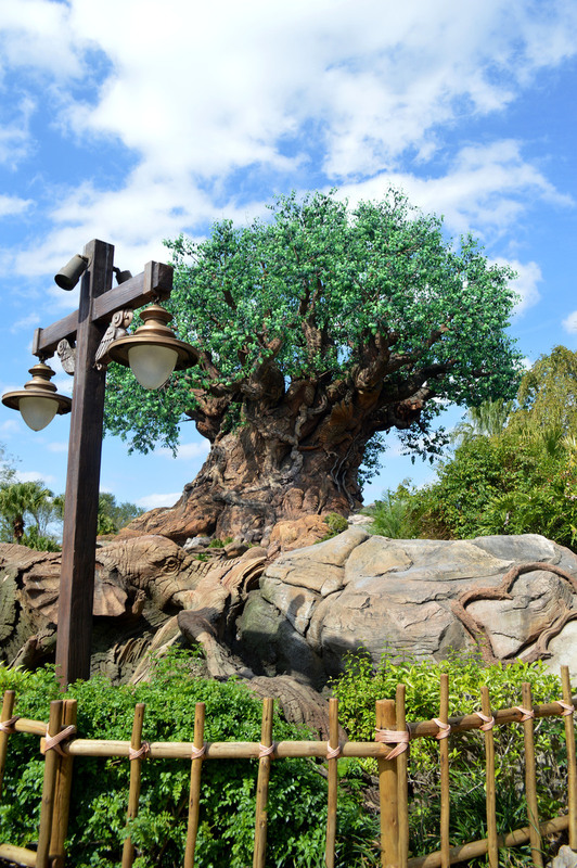 Disney World 05.jpg