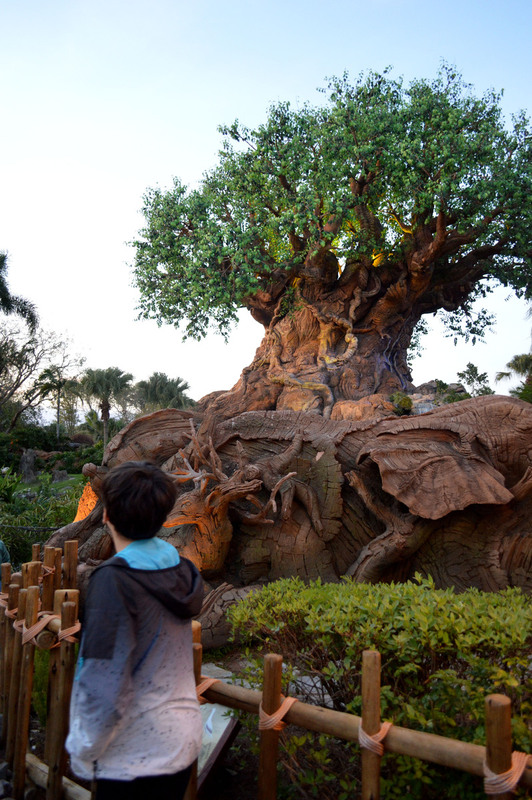 Disney World 06.jpg